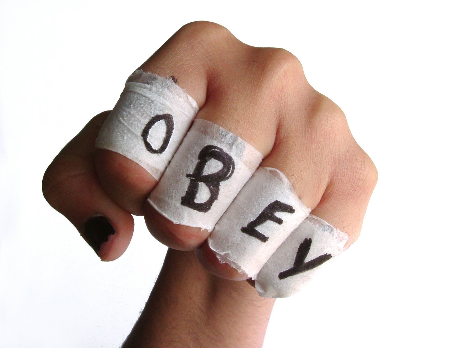Why we obey authority essay